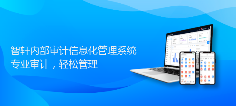内部审计信息化管理系统